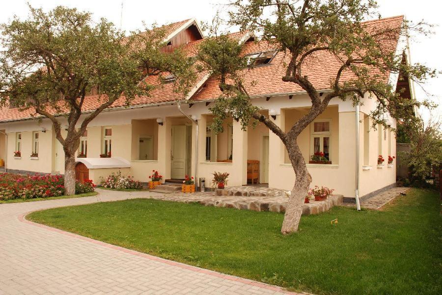 Borsika panzió Bed and Breakfast Ciumani Exterior foto